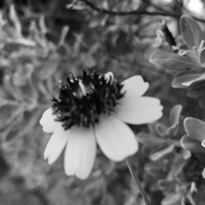 Meet your Posher, Edna